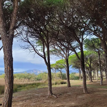 H41 Attico In Centro * Budoni